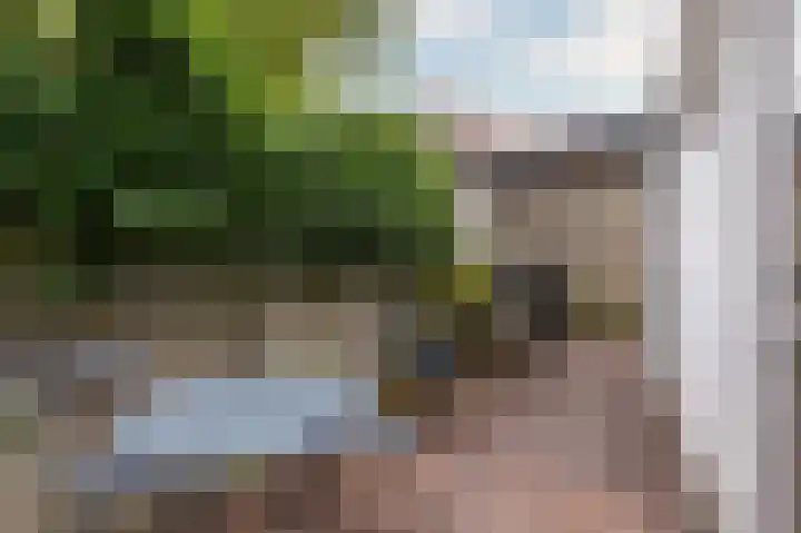 Gedempte Appelhaven 16 Hoorn thumbnail 25