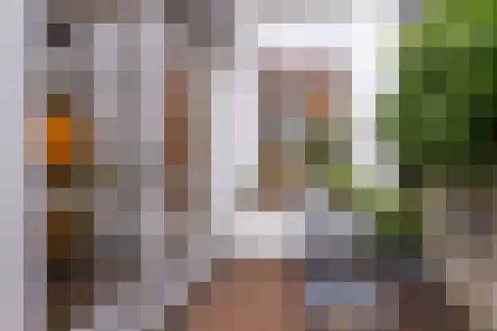 Gedempte Appelhaven 16 Hoorn thumbnail 26