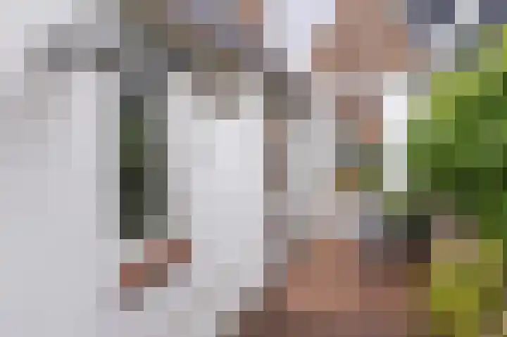 Gedempte Appelhaven 16 Hoorn thumbnail 27