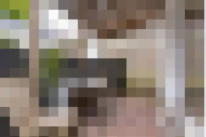 Gedempte Appelhaven 16 Hoorn thumbnail 29
