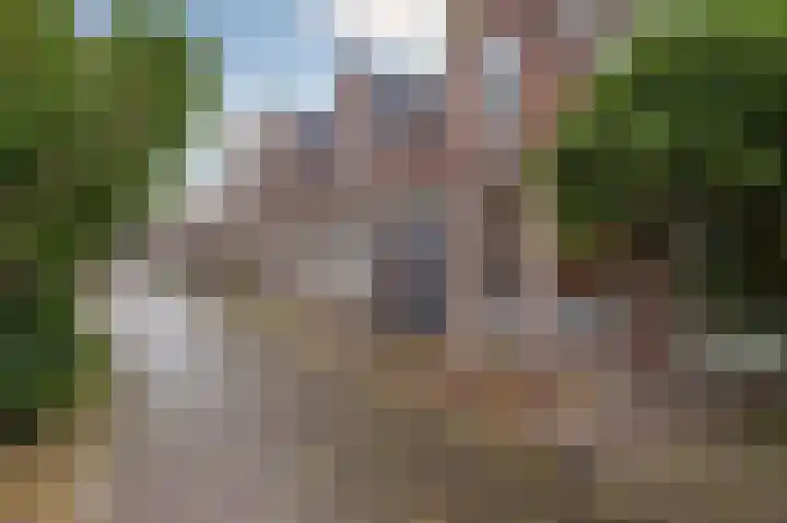 Gedempte Appelhaven 16 Hoorn thumbnail 30