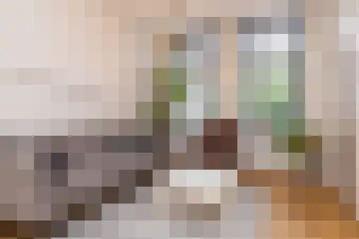 Gedempte Appelhaven 16 Hoorn thumbnail 6