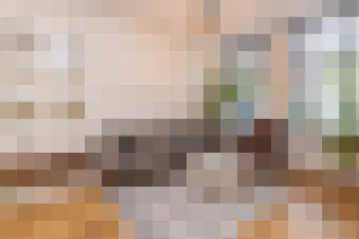 Gedempte Appelhaven 16 Hoorn thumbnail 7