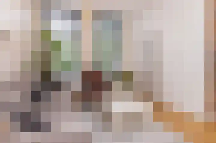 Gedempte Appelhaven 16 Hoorn thumbnail 8