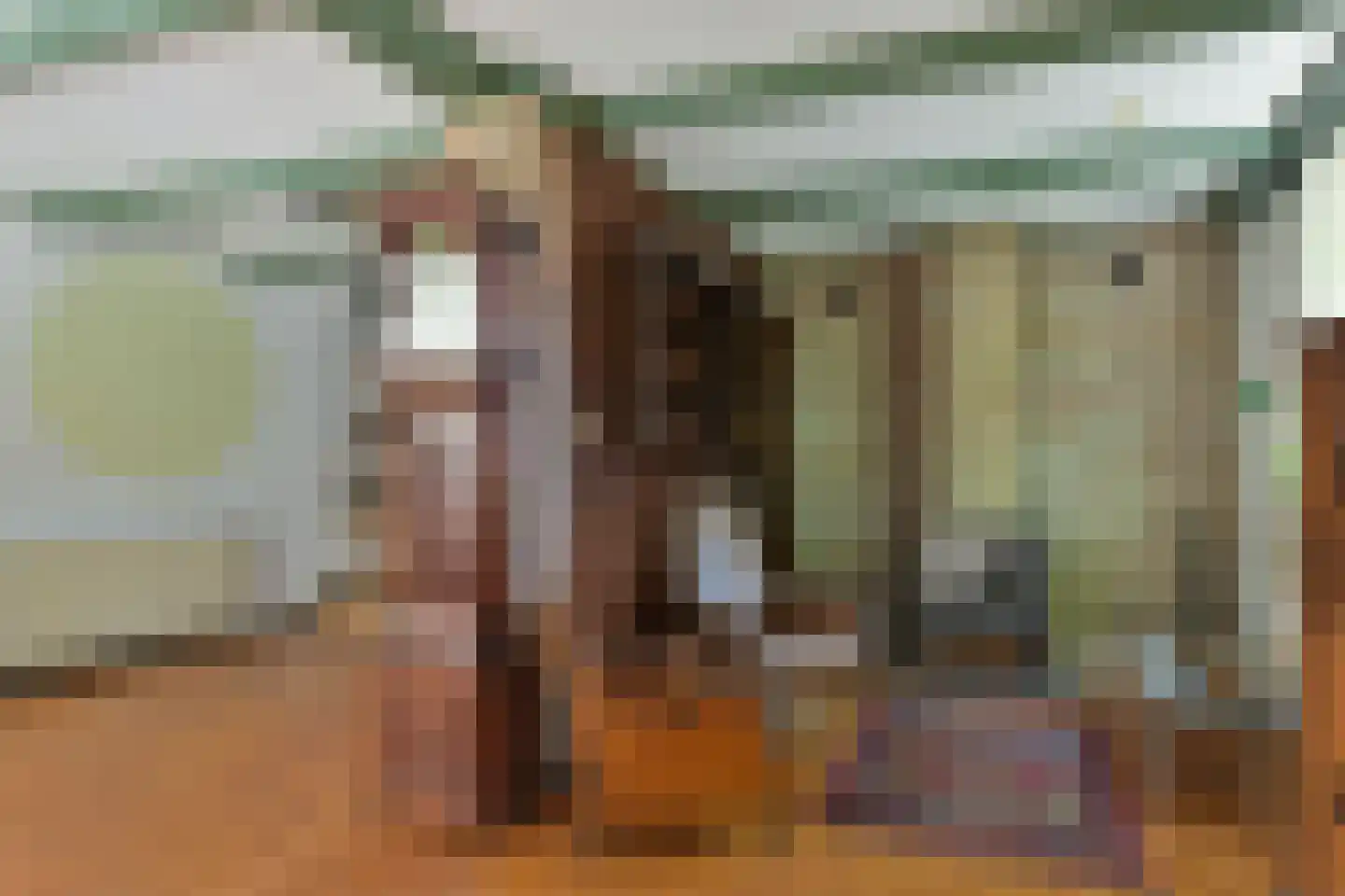 Gedempte Appelhaven 27 Hoorn thumbnail 11