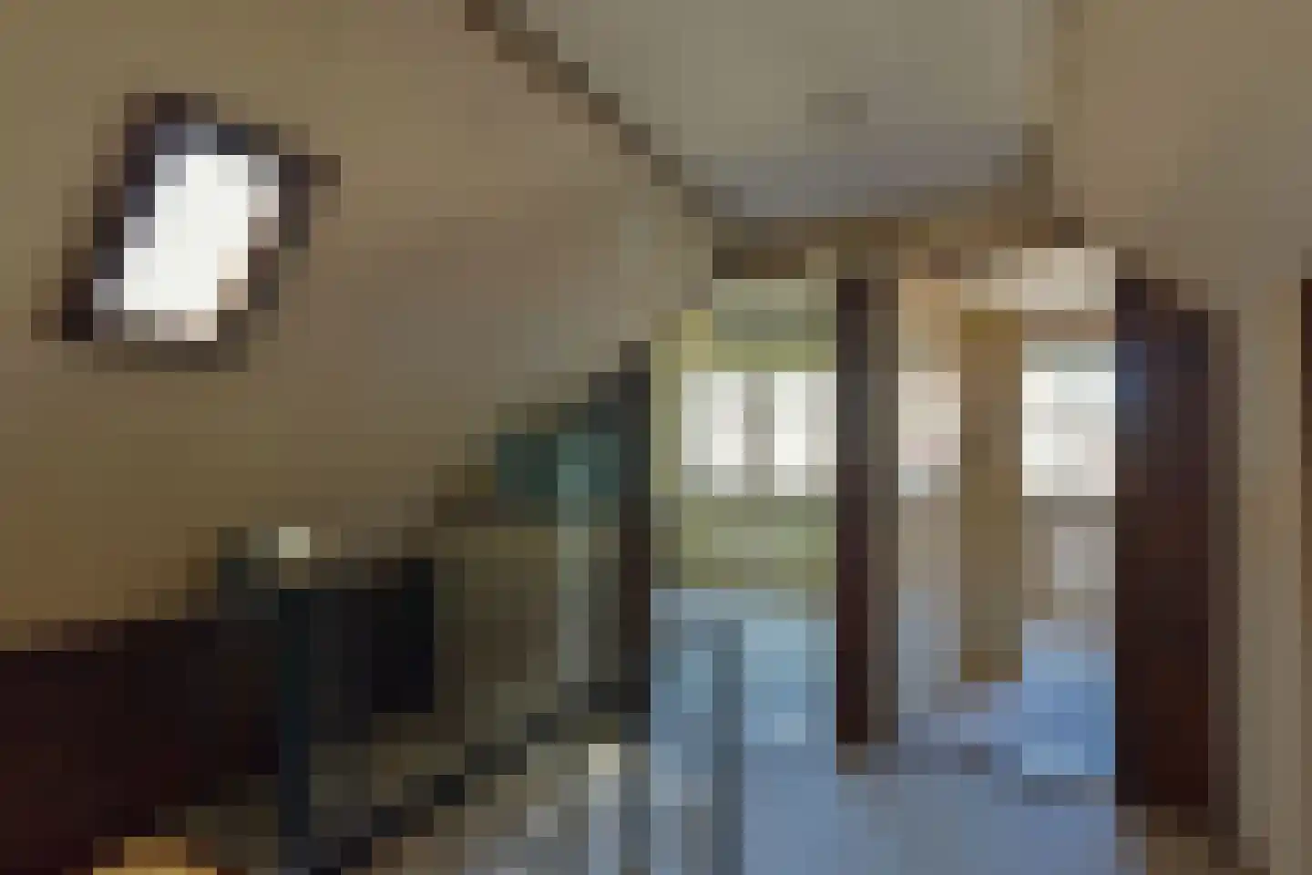 Gedempte Appelhaven 27 Hoorn thumbnail 22
