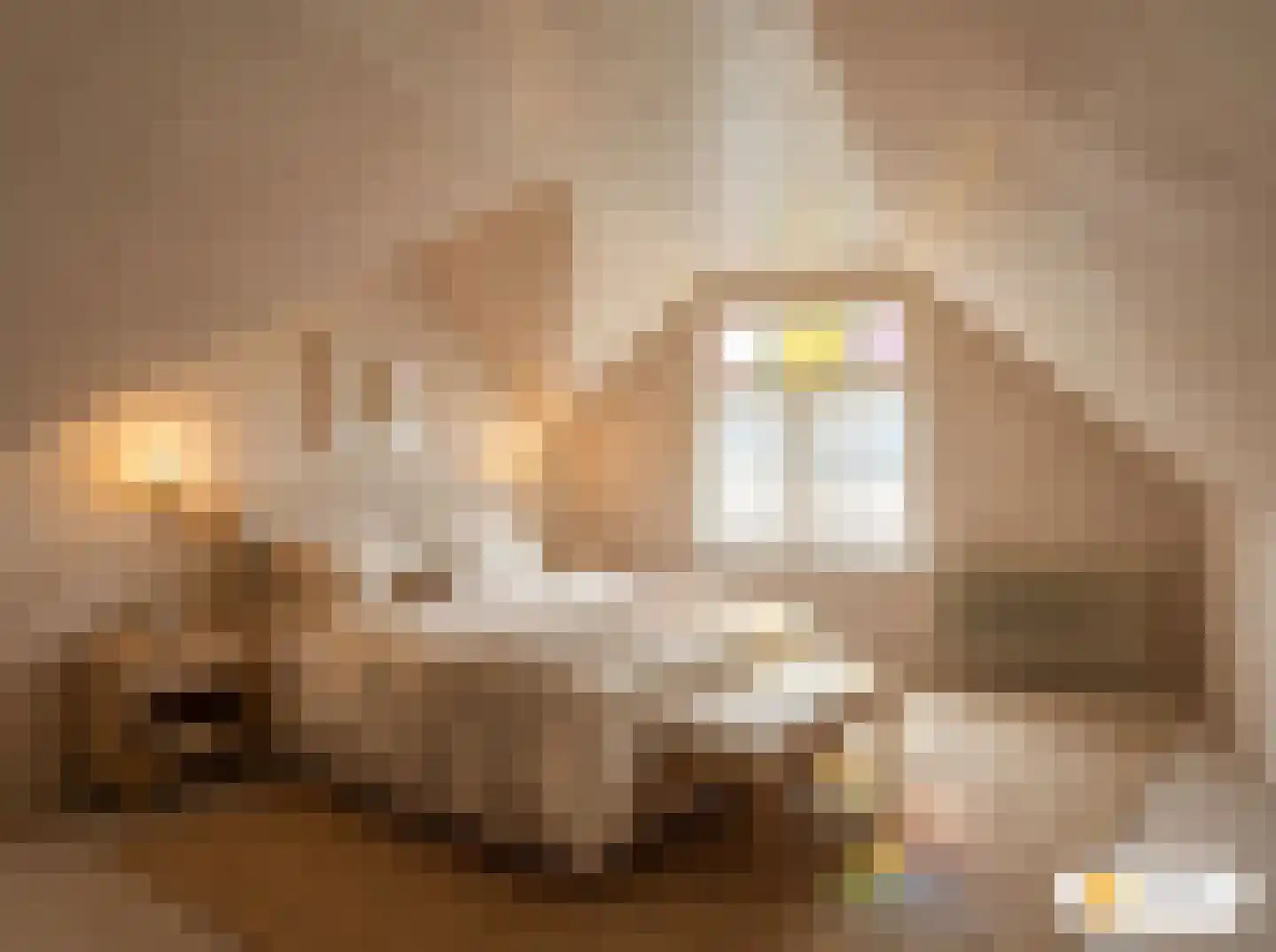 Gedempte Appelhaven 27 Hoorn thumbnail 23