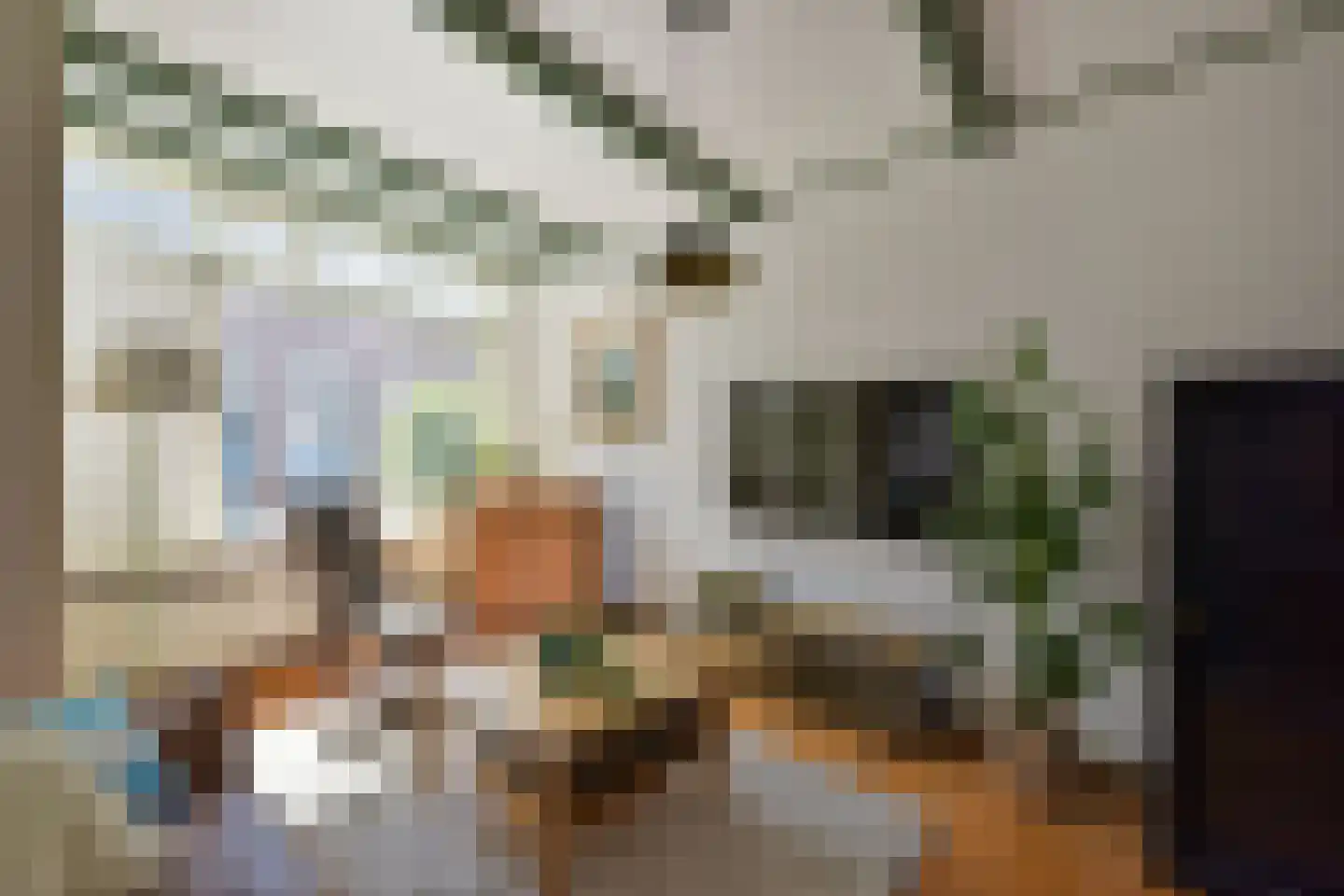 Gedempte Appelhaven 27 Hoorn thumbnail 7