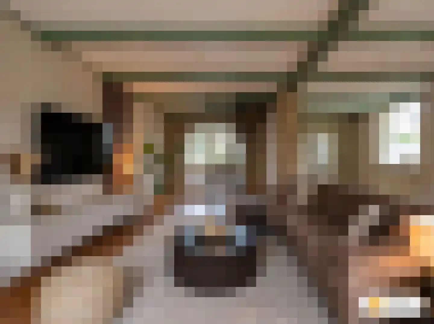 Gedempte Appelhaven 27 Hoorn thumbnail 8