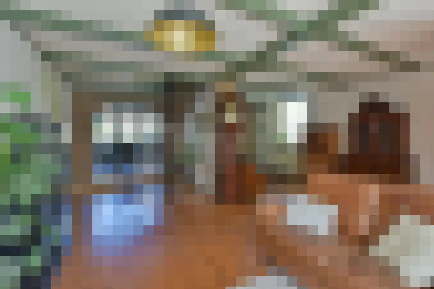 Gedempte Appelhaven 27 Hoorn thumbnail 9