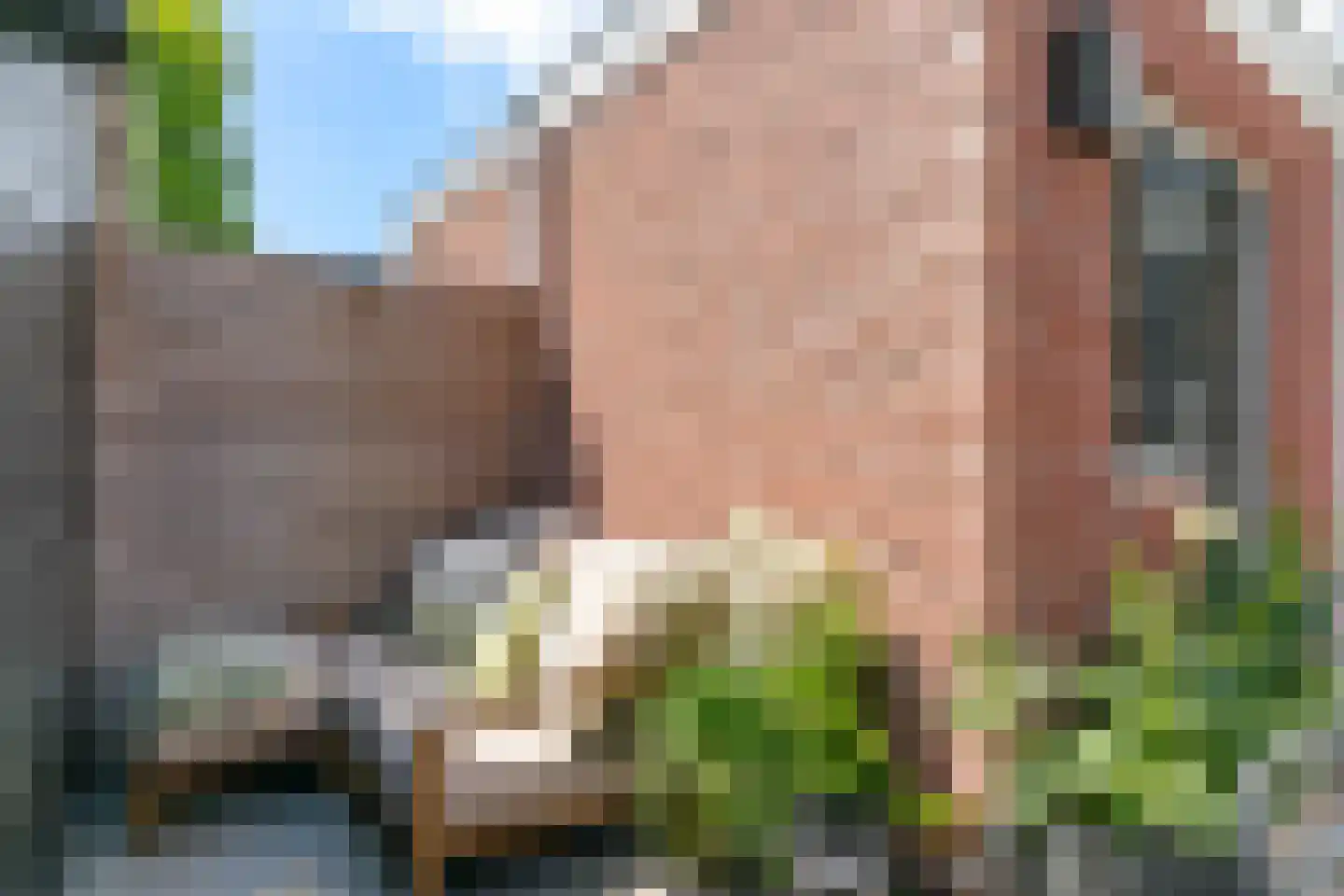Gedempte Appelhaven 34 Hoorn thumbnail 26