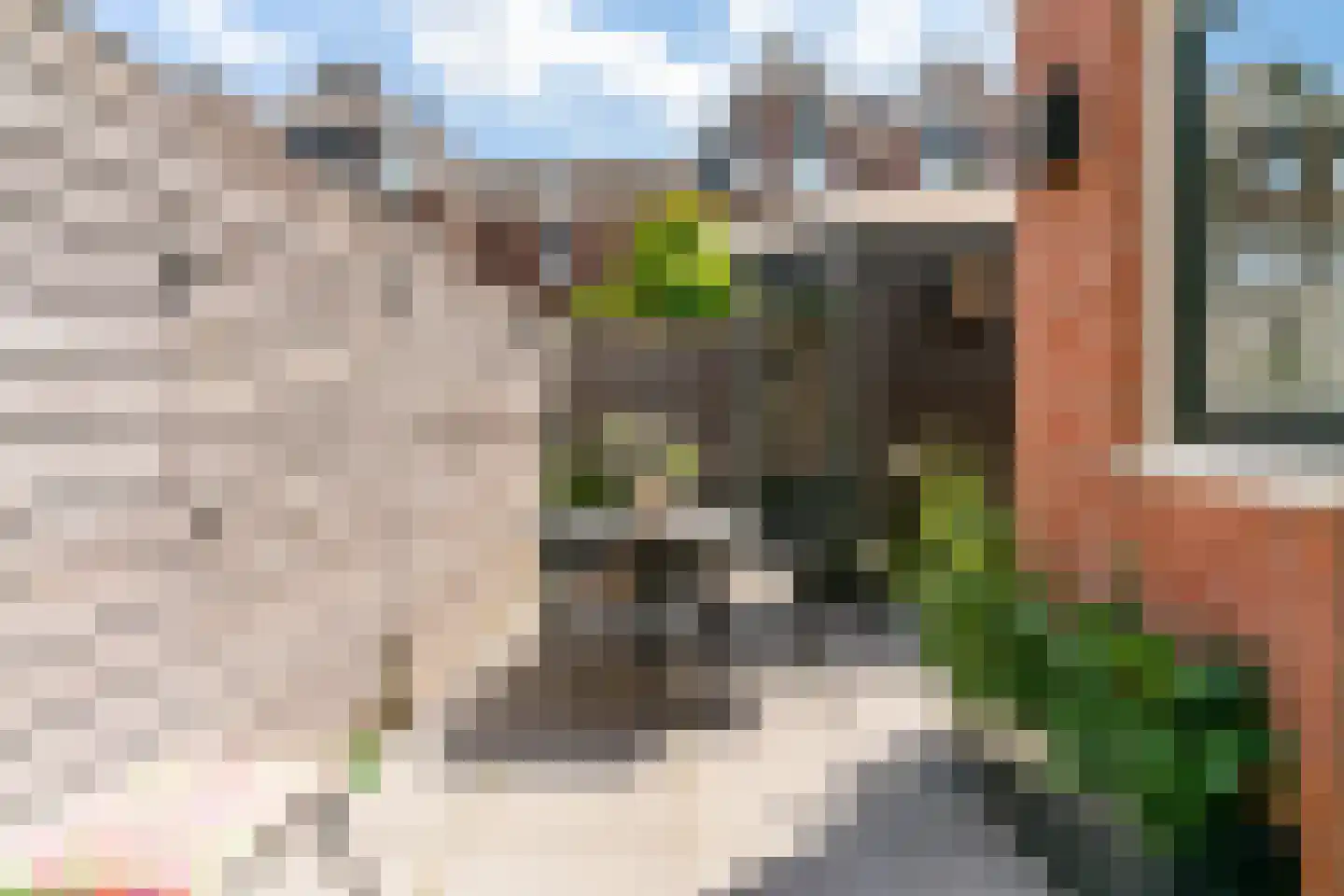 Gedempte Appelhaven 34 Hoorn thumbnail 30