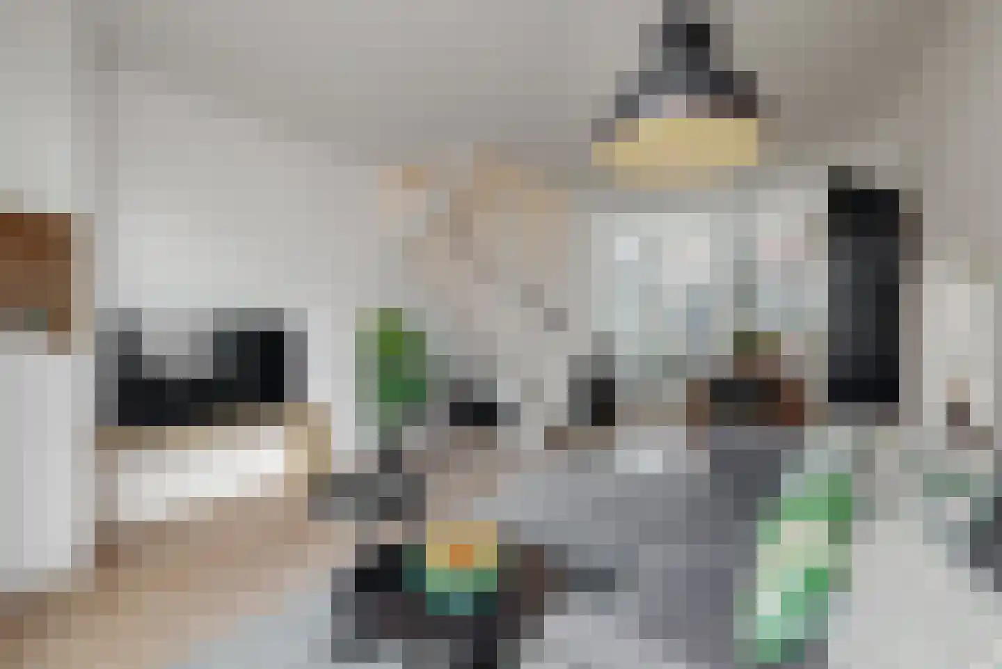 Gedempte Appelhaven 34 Hoorn thumbnail 5