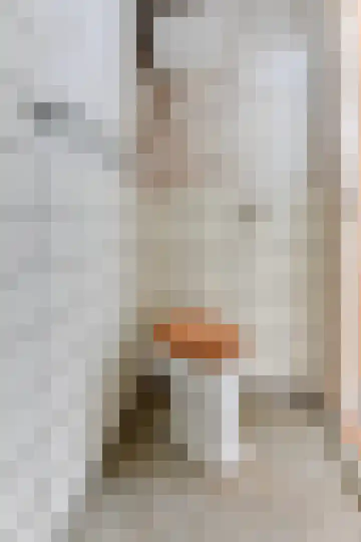 Gedempte Baansloot 14 Alkmaar thumbnail 11