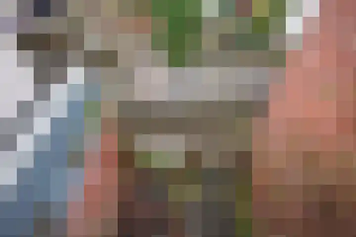 Gedempte Baansloot 14 Alkmaar thumbnail 25