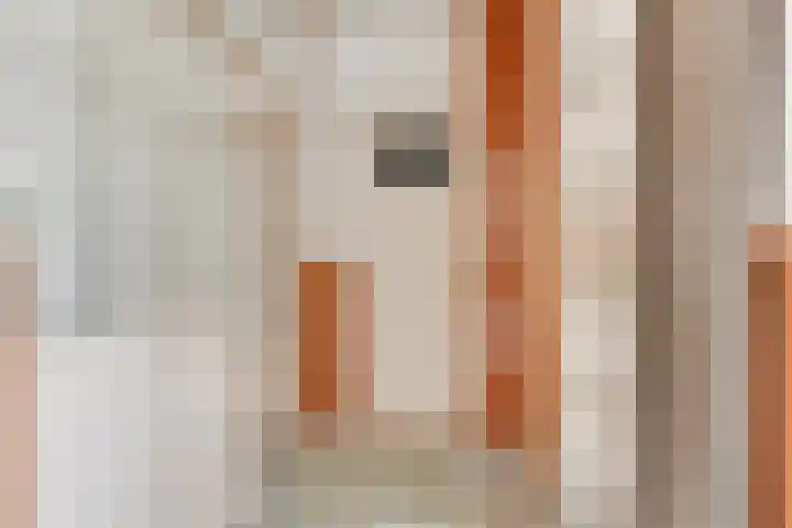 Gedempte Baansloot 14 Alkmaar thumbnail 6