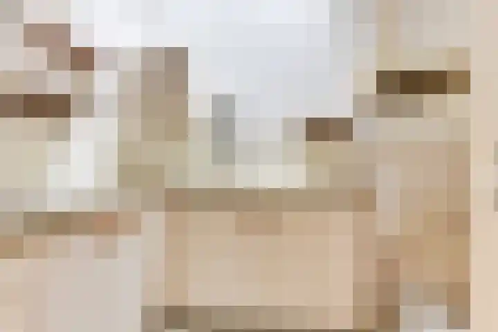 Gedempte Baansloot 14 Alkmaar thumbnail 7