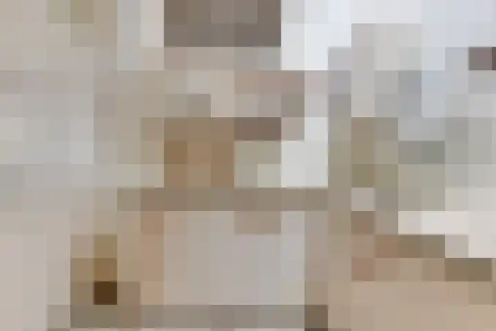Gedempte Baansloot 14 Alkmaar thumbnail 8