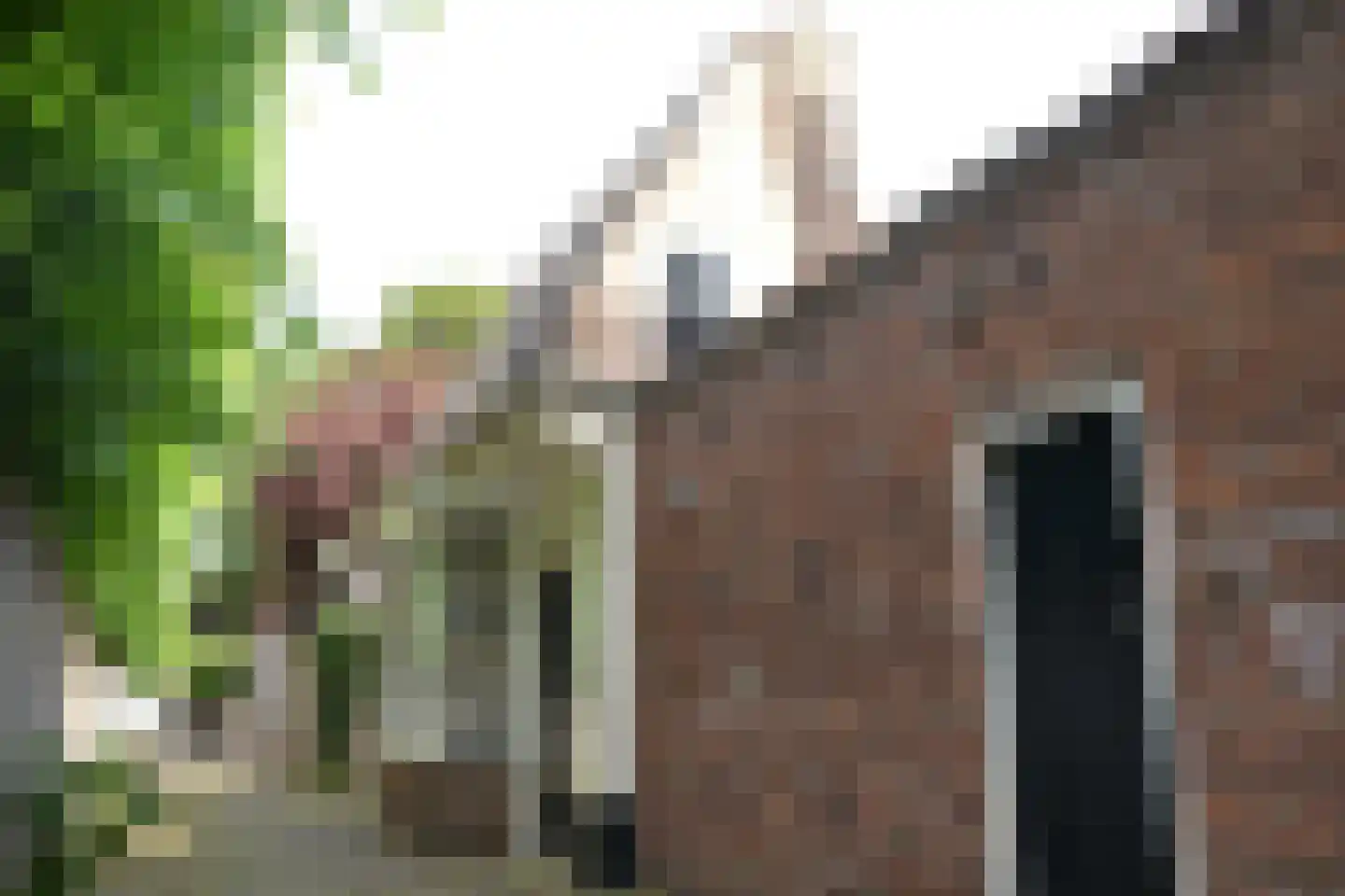 Gedempte Baansloot 28 Alkmaar