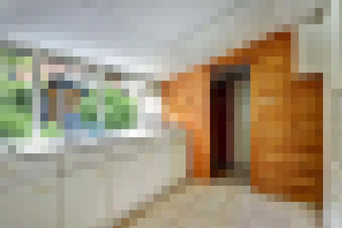 Gedempte Baansloot 28 Alkmaar thumbnail 11