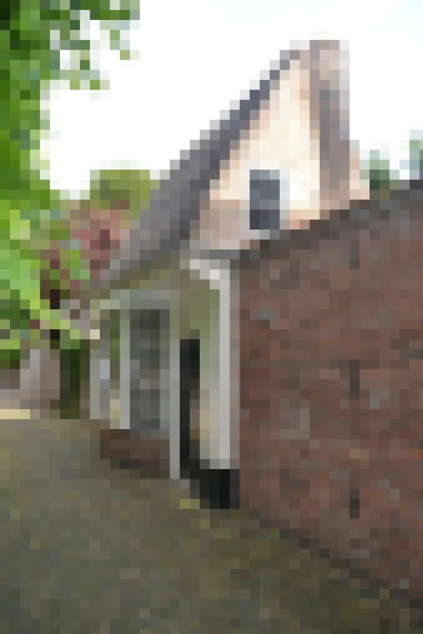 Gedempte Baansloot 28 Alkmaar thumbnail 16
