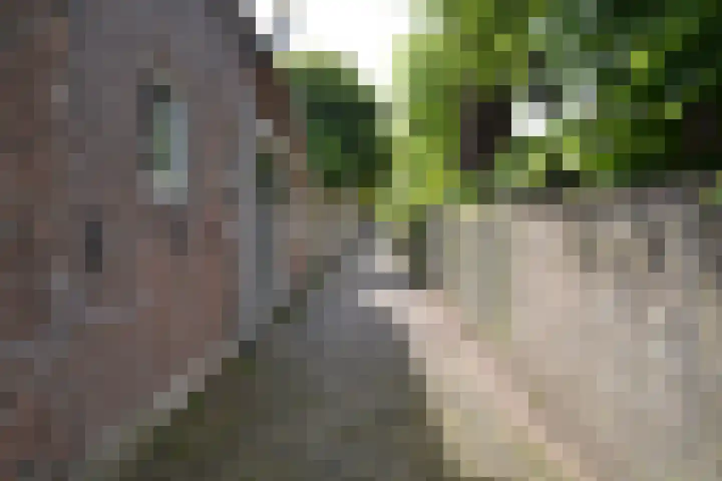 Gedempte Baansloot 28 Alkmaar thumbnail 17