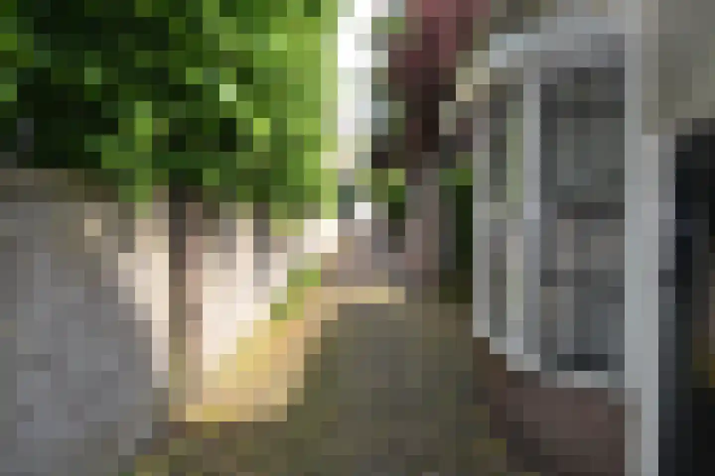 Gedempte Baansloot 28 Alkmaar thumbnail 18