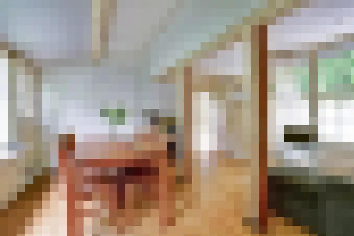 Gedempte Baansloot 28 Alkmaar thumbnail 5