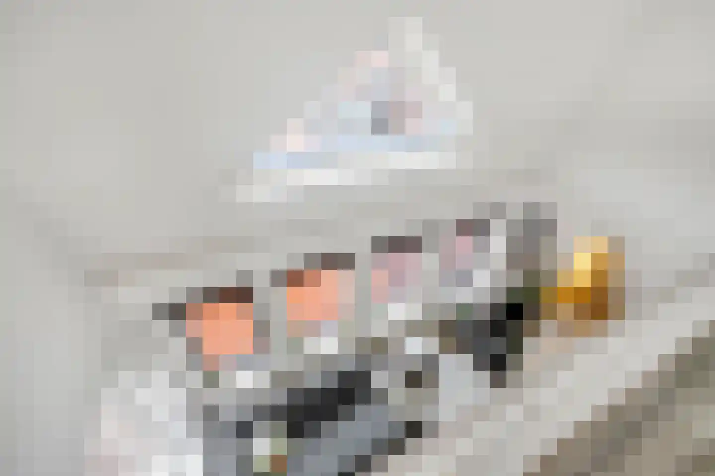 Gedempte Baansloot 5 Schiedam thumbnail 21