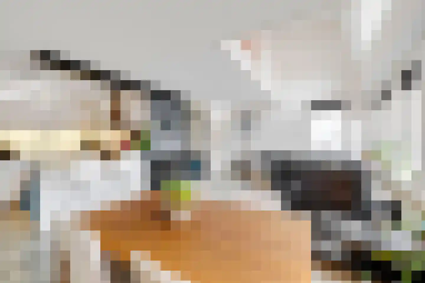 Gedempte Baansloot 5 Schiedam thumbnail 23