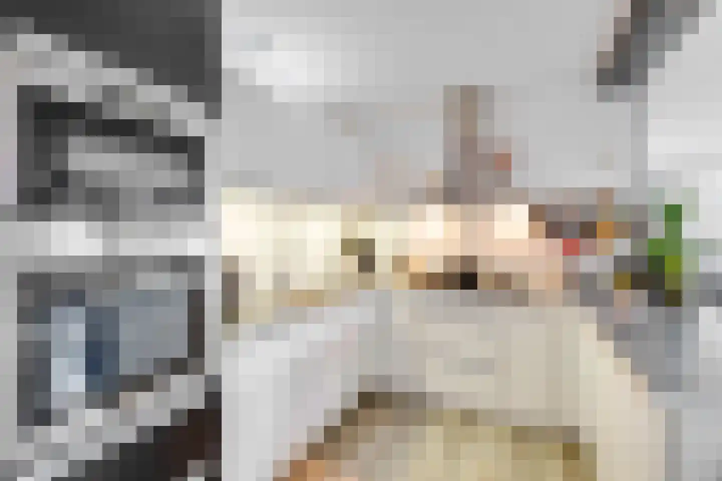 Gedempte Baansloot 5 Schiedam thumbnail 29