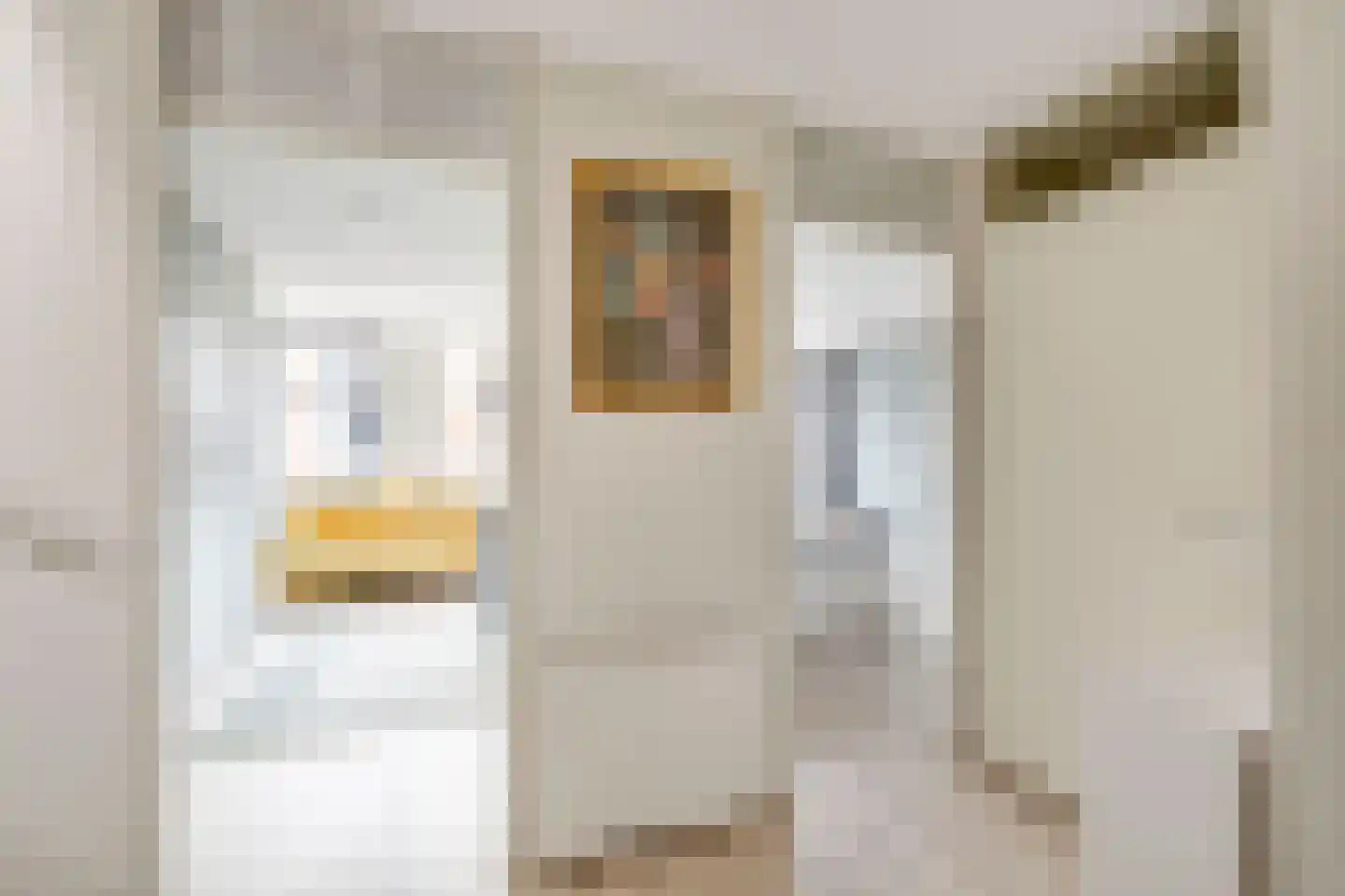 Gedempte Baansloot 5 Schiedam thumbnail 9