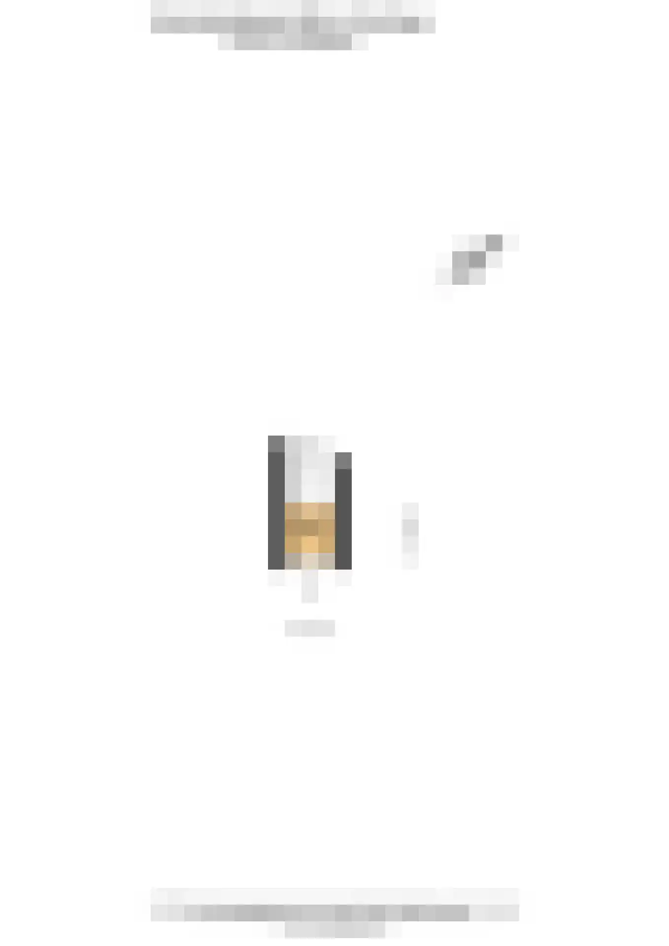 Gedempte Biersloot 22 b Vlaardingen thumbnail 20