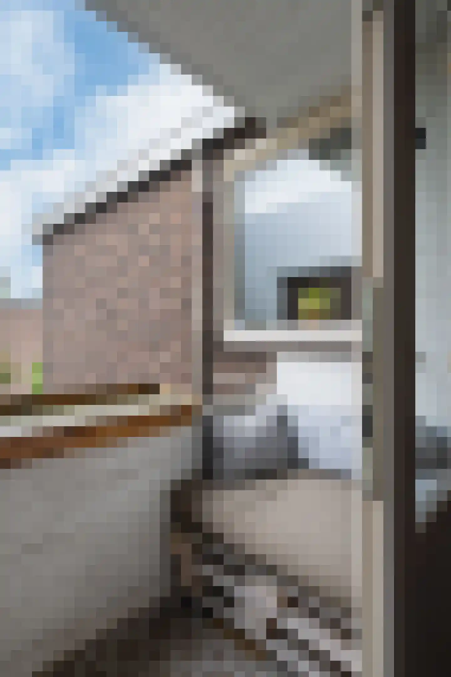 Gedempte Biersloot 24 b Vlaardingen thumbnail 20