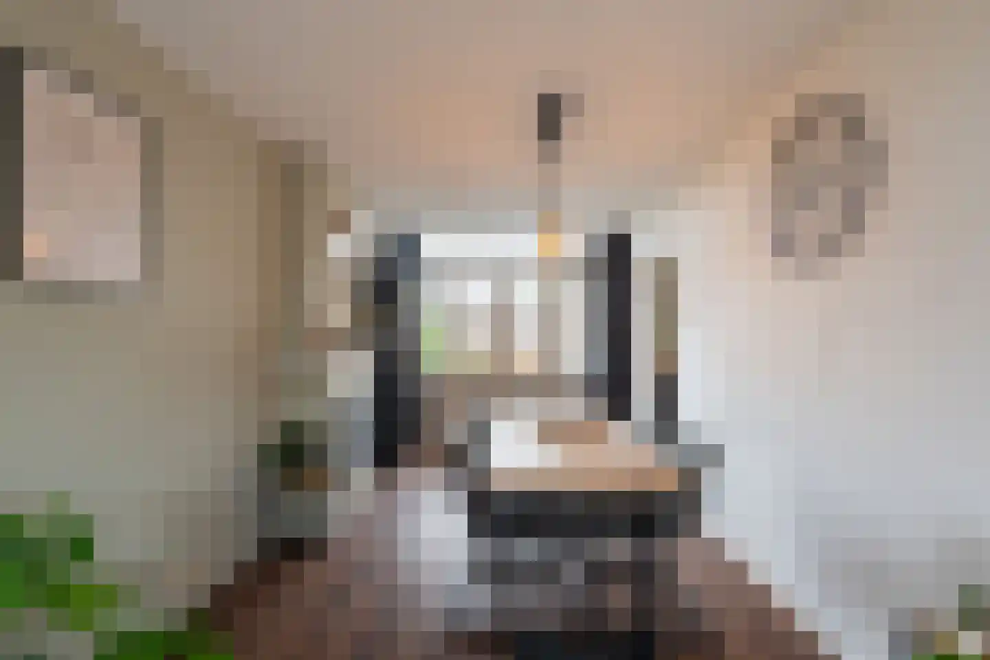 Gedempte Biersloot 24 b Vlaardingen thumbnail 9