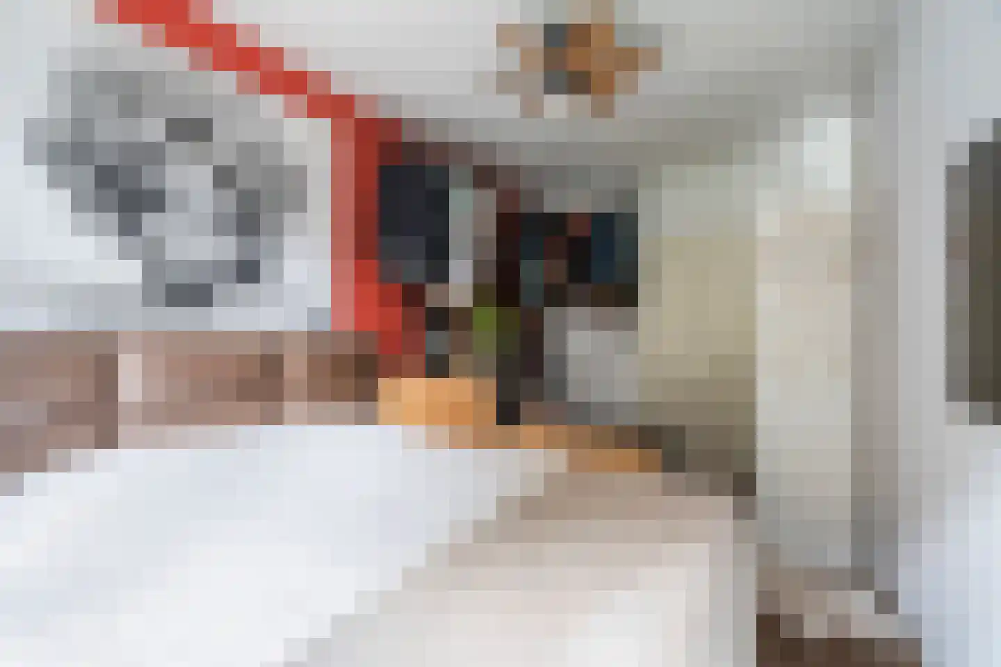 Gedempte Biersloot 24 Vlaardingen thumbnail 16