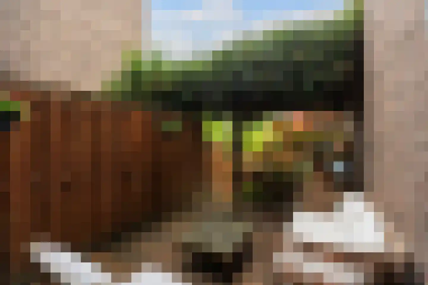 Gedempte Biersloot 24 Vlaardingen thumbnail 28