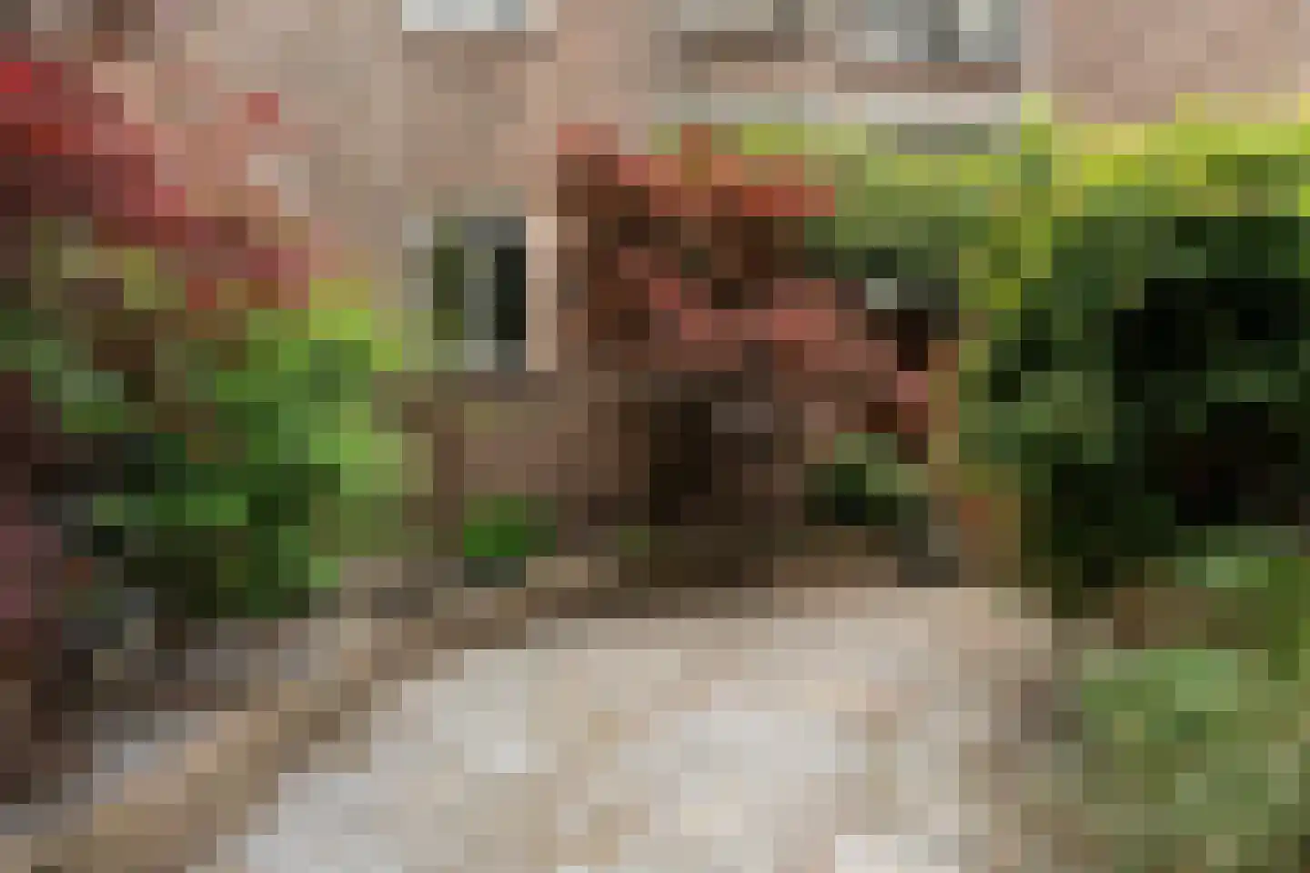 Gedempte Biersloot 24 Vlaardingen thumbnail 31