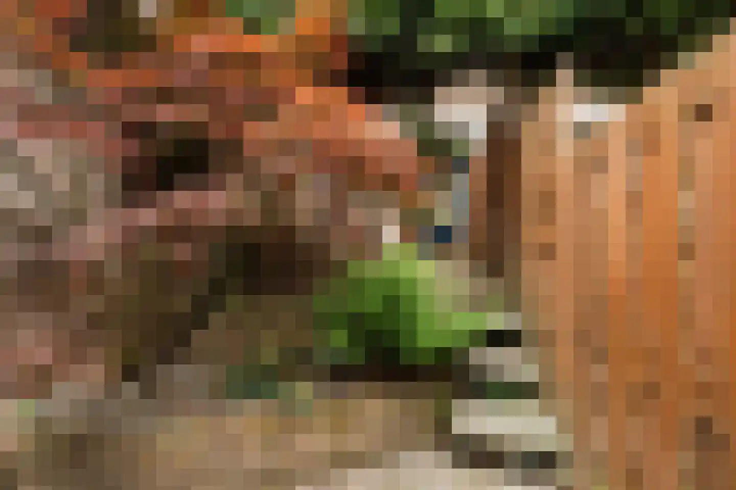 Gedempte Biersloot 24 Vlaardingen thumbnail 32