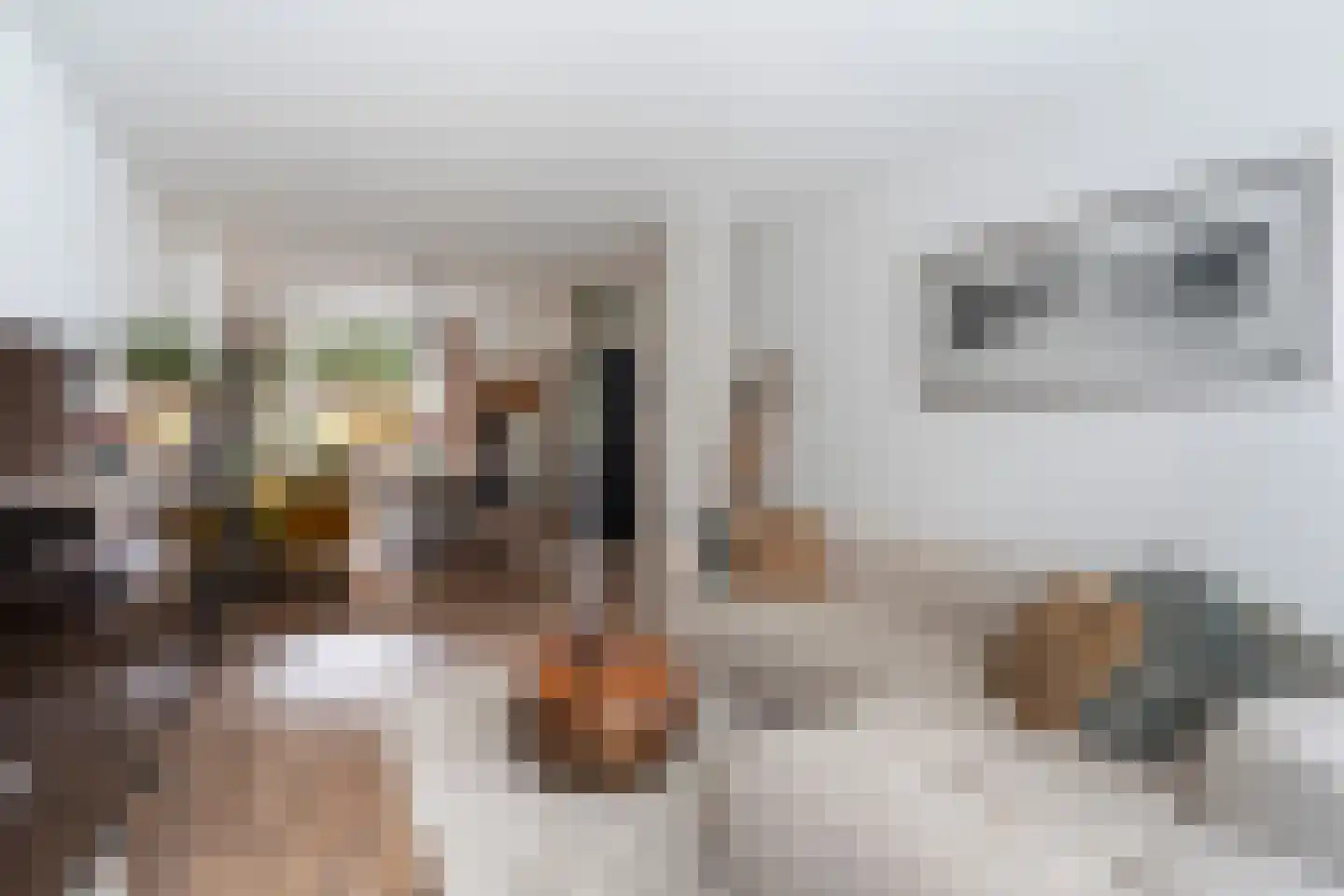 Gedempte Biersloot 24 Vlaardingen thumbnail 7