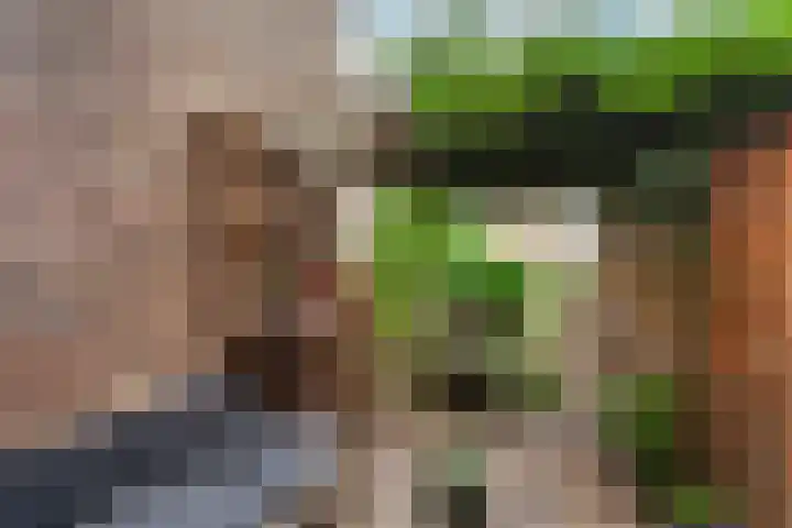 Gedempte Biersloot 26 Vlaardingen thumbnail 28