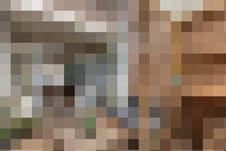 Gedempte Biersloot 26 Vlaardingen thumbnail 29