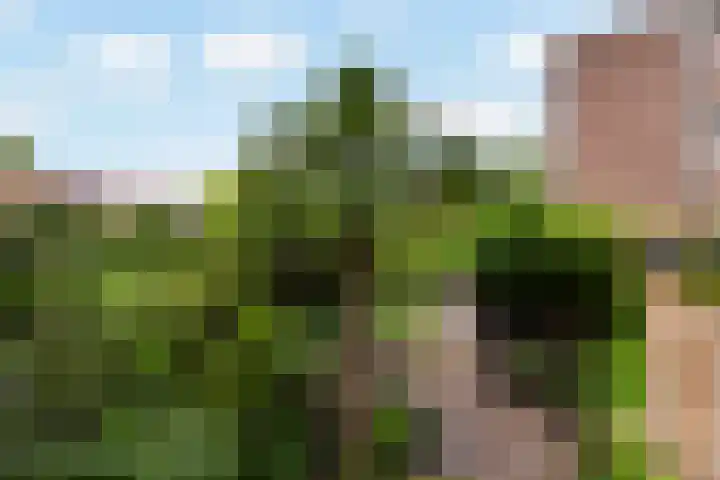 Gedempte Biersloot 26 Vlaardingen thumbnail 30