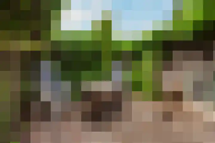 Gedempte Biersloot 26 Vlaardingen thumbnail 32