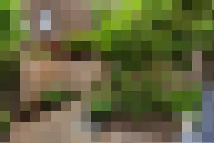 Gedempte Biersloot 26 Vlaardingen thumbnail 33