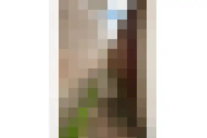 Gedempte Biersloot 26 Vlaardingen thumbnail 35