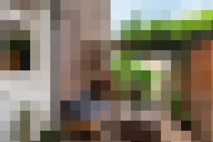 Gedempte Biersloot 26 Vlaardingen thumbnail 4