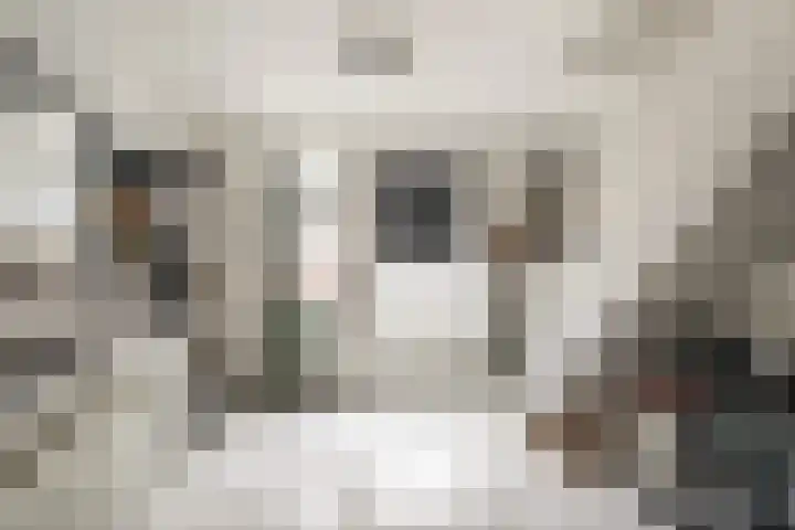 Gedempte Biersloot 38 Vlaardingen thumbnail 10