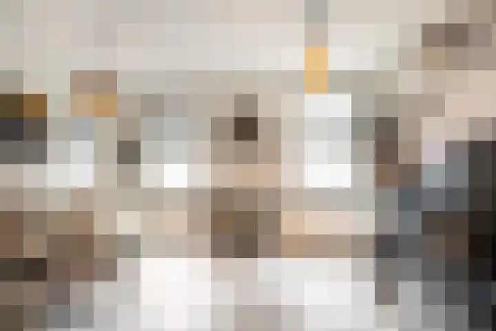 Gedempte Biersloot 38 Vlaardingen thumbnail 11