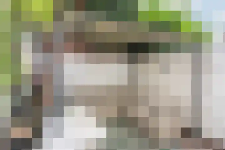 Gedempte Biersloot 38 Vlaardingen thumbnail 15